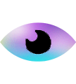 Visibl Logo